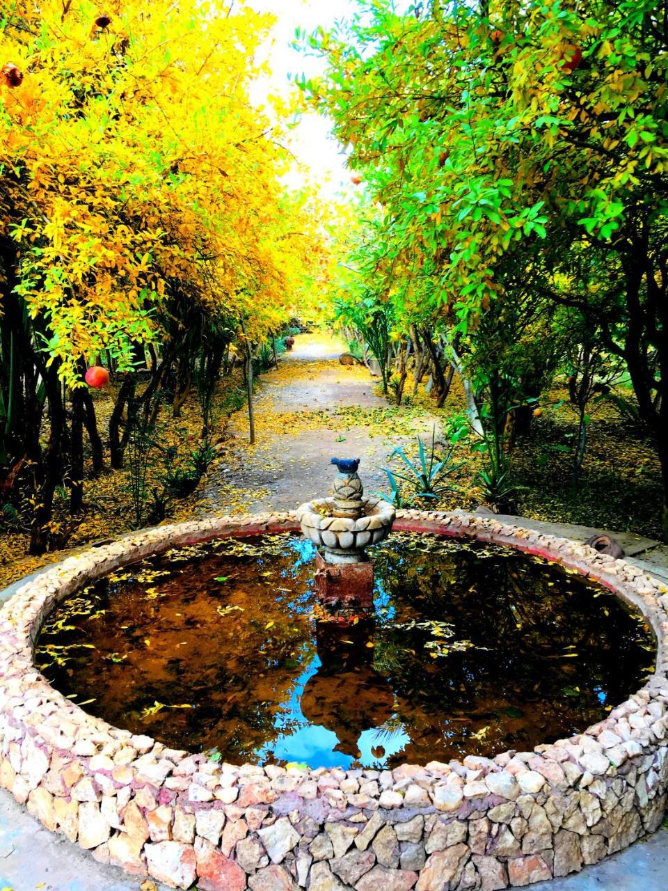 Отель Kasbah Tiriguioute Скура Экстерьер фото
